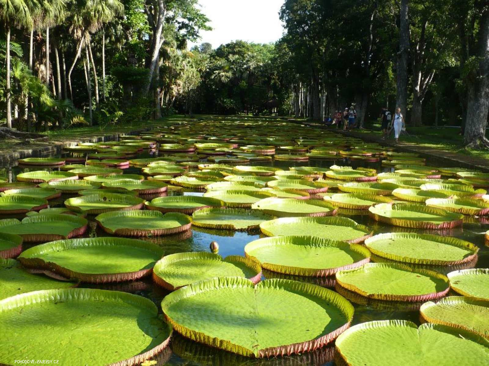 Photo of 12 denní Mauricius - perla Indického oceánu